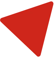 icon poly large