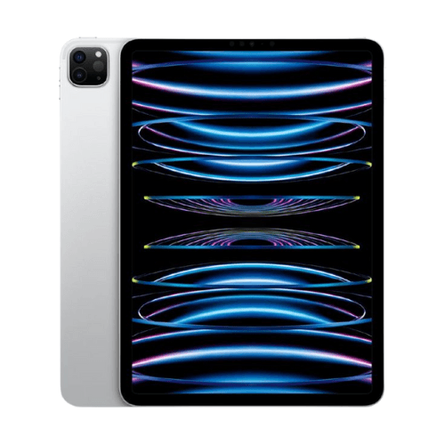 iPad Pro 11 in 4th Generation